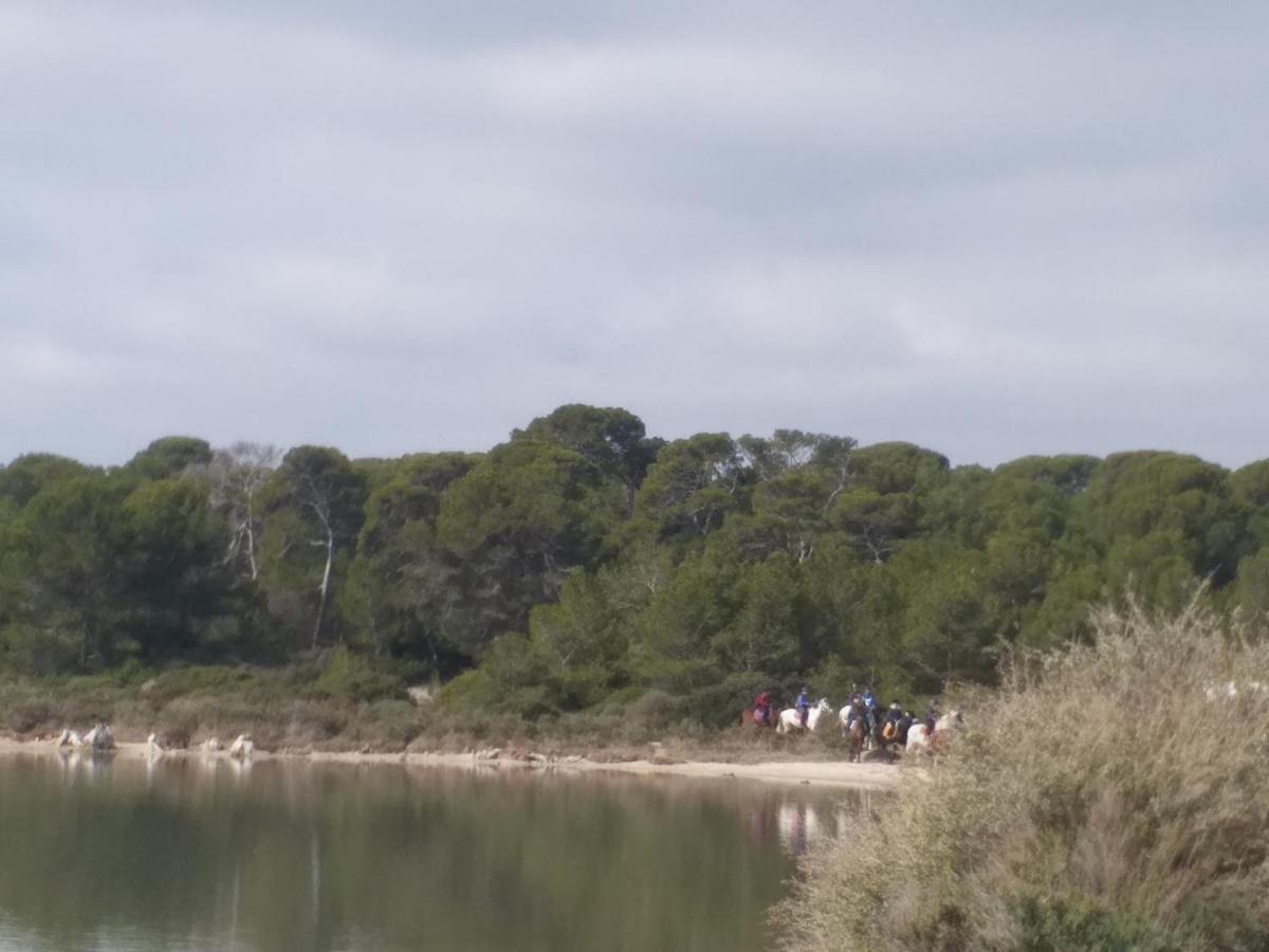 Cabanes Des Aresquiers Frontignan Bagian luar foto